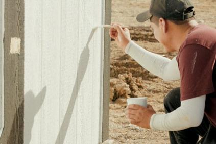 shed-painting-worker-champion